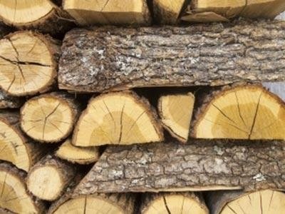 Bando pubblico  - assegnazione gratuita di legna da ardere - 2020 - proroga termini